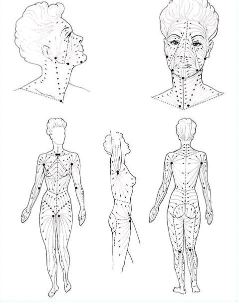 Diagram showing full-body lymphatic drainage pathways from front, side, and back views